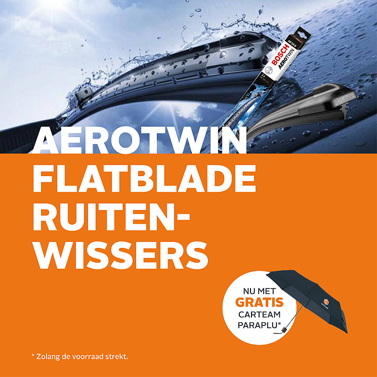 Carteam Ewalds & Wijnen Autoservice